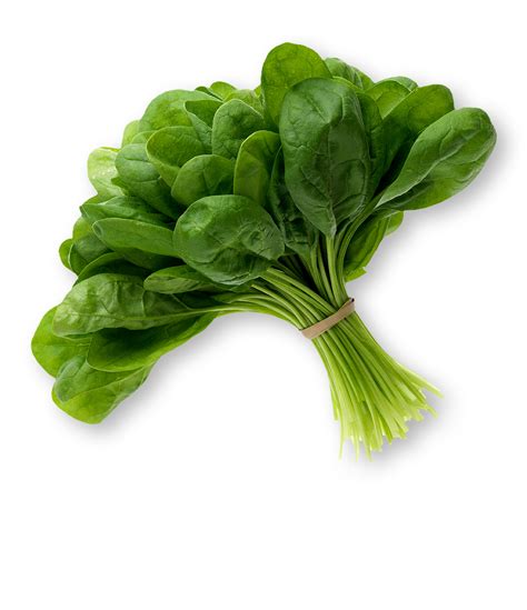 Spinach - LettuceInfo.org