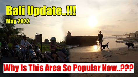 Why Is This Area So Popular In Bali Now Canggu Bali Update Situation Now May 2022 Youtube