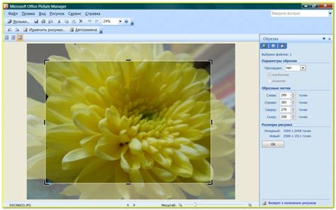 Просмотрщик картинок Windows 7 ТОП 15 лучших бесплатных программ для