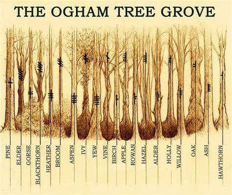 The Ogham Tree Grove By Yuri Leitch Calligraphy Alphabet Islamic Calligraphy Grimoire Magick