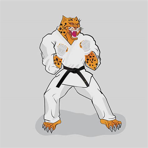 Best Jiu Jitsu Illustrations Royalty Free Vector Graphics And Clip Art