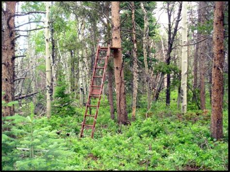 It's a easy and fairly cheap way to make 4 to 6 tree stands for the cost of just 1 of the normal meta. Homemade tree stand ideas...