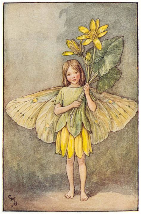 Illustration For The Celandine Fairy From Flower Fairies Of The Spring