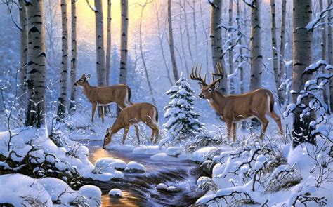 Deer In Winter Birch Forest By Derk Hansen Image Abyss