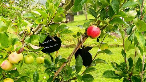 Recorded in a different location each week. BBC Radio 4 - Gardeners' Question Time, Carlisle