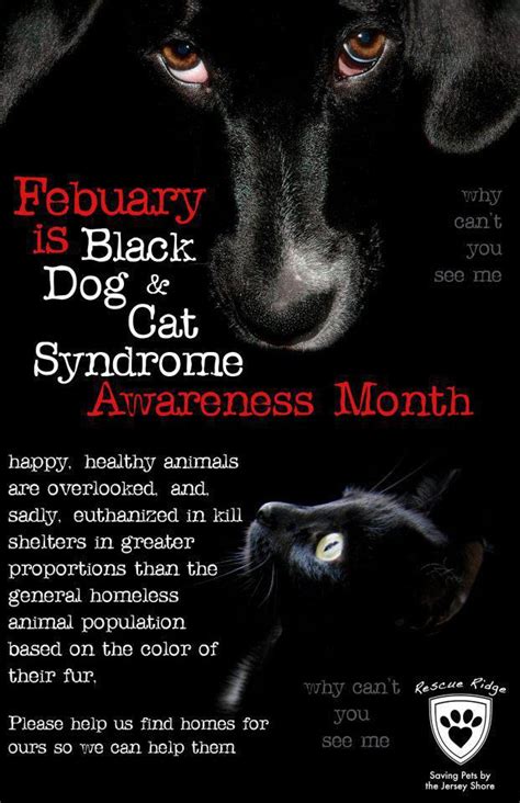 It could be the puppy not being strong enough and just dies. February is Black Dog & Cat Syndrome Awareness Month ...