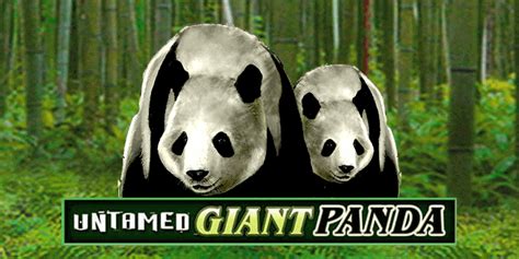 Untamed Giant Panda Slot Review Rtp Features And Free Play Demo
