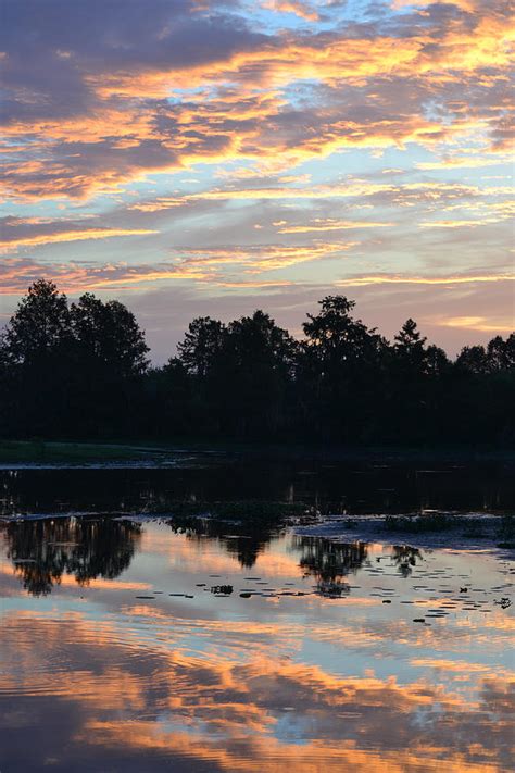 August 1st 2016 Sunrise Over Alligator Lake Photograph By Rd Erickson