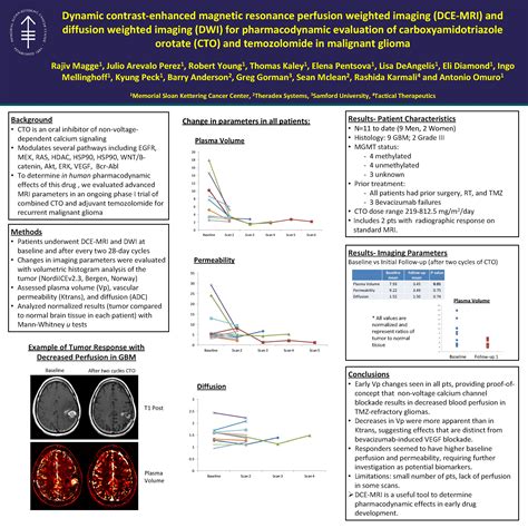 Dynamic Contrastenhanced Magnetic Resonance Perfusion Weighted Imaging