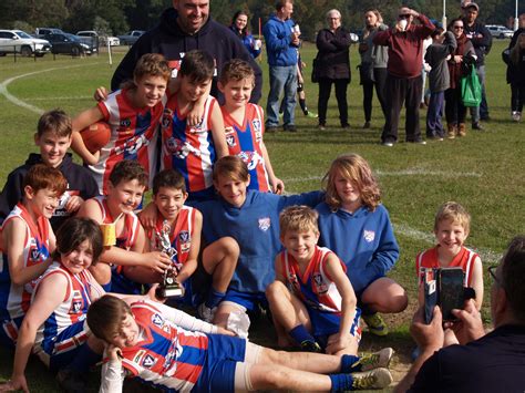 This page contains technical data sheet, documents library and links to offering related to this product. Under 10's | Wandin Junior Football Club