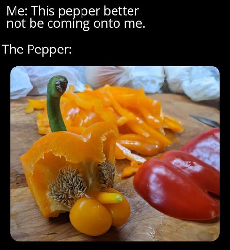 That Pepper Is Hot Rmemes