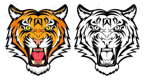 Tiger Vector Set Collection Graphic Clipart Stock Vector Animals Images