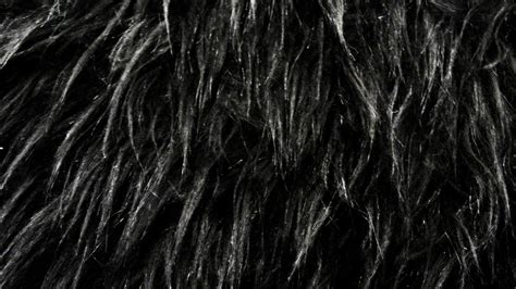 Black Fur 2 Texture Vampstock By Vampstock On Deviantart
