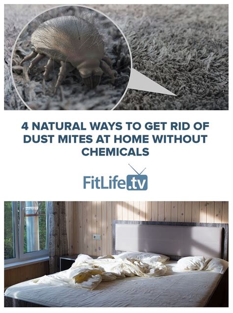 4 Ways To Get Rid Of Dust Mites At Home Without Chemicals Dust Mites