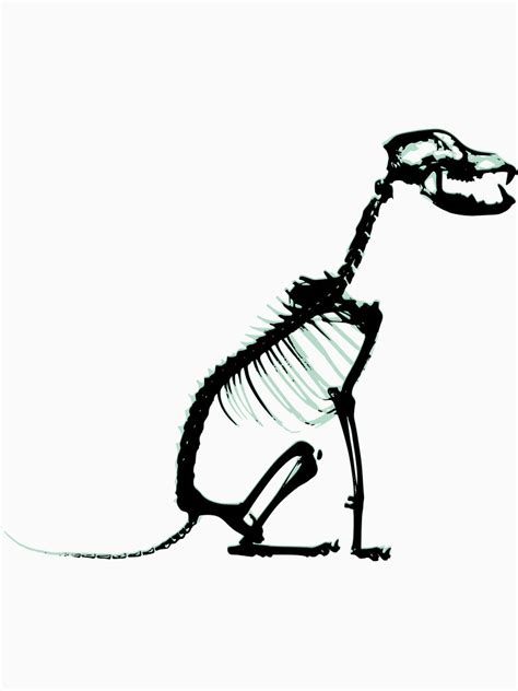 Isolated vector object on white background. Dog Skeleton Drawing at PaintingValley.com | Explore ...