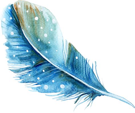 Watercolor Transparent Background Feather Clipart Full Size Clipart Images