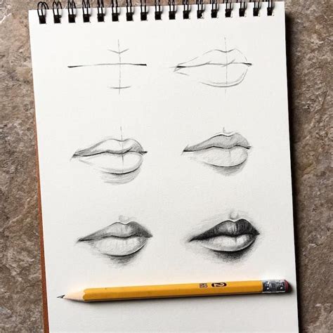 This Artist Is Teaching People How To Draw With Step By Step Visual