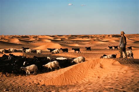 Tunisia- pastore nel deserto | Loredana | Flickr