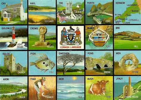 Cornish Language 1 Available Audiopineapplepostcards Flickr