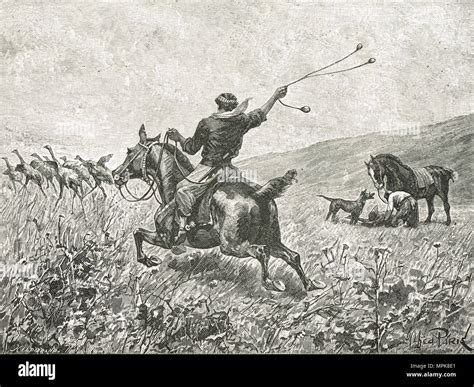 Gauchos Hunting Rhea With Bolas South America Stock Photo Alamy