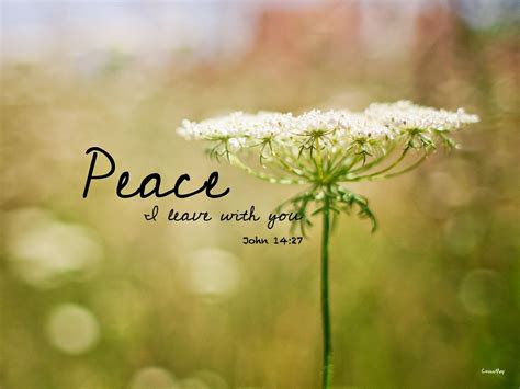 Spiritual Direction “peace I Leave With You My Peace I Give To You