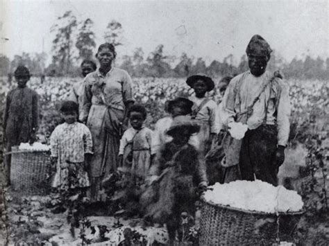 6 startling things about sex farms during slavery that you may not know