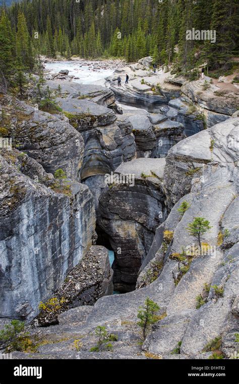 Mistaya Canyon Along The Icefields Parkway In Banff National Park In