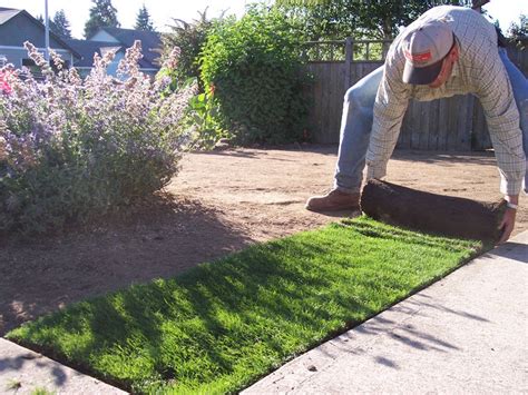 The Benefits Of Hydroseeding For Planting Grass Heram Decor