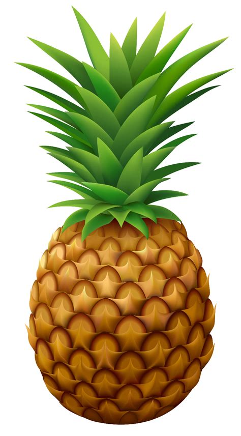 Download High Quality Pineapple Clip Art Vector Transparent Png Images