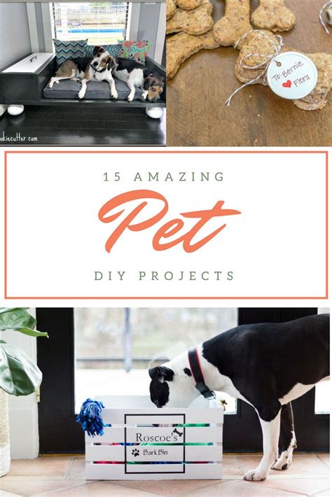 15 Amazing Pet Diy Projects For Your Cat Or Dog Pet Diy Projects Diy