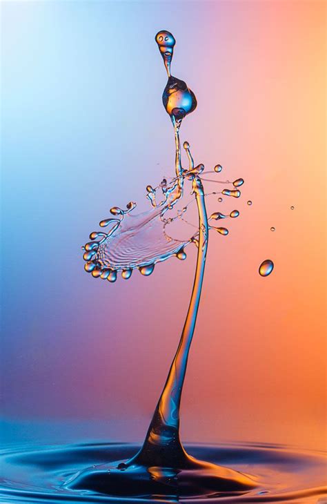 The 25 Best Water Drop Photography Ideas On Pinterest Water Droplets