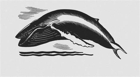 Rockwell Kent Une Illustration Du Roman De Melville Moby Dick 1930