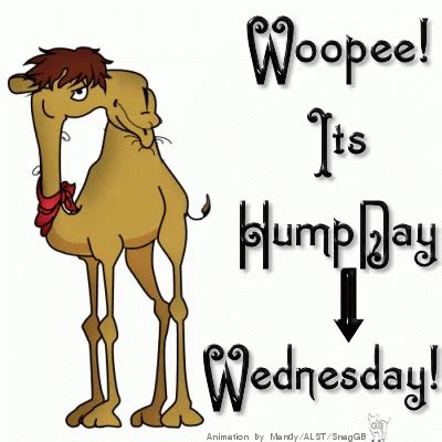 Wednesday Woope GIF Wednesday Woope Humd Day Discover Share GIFs