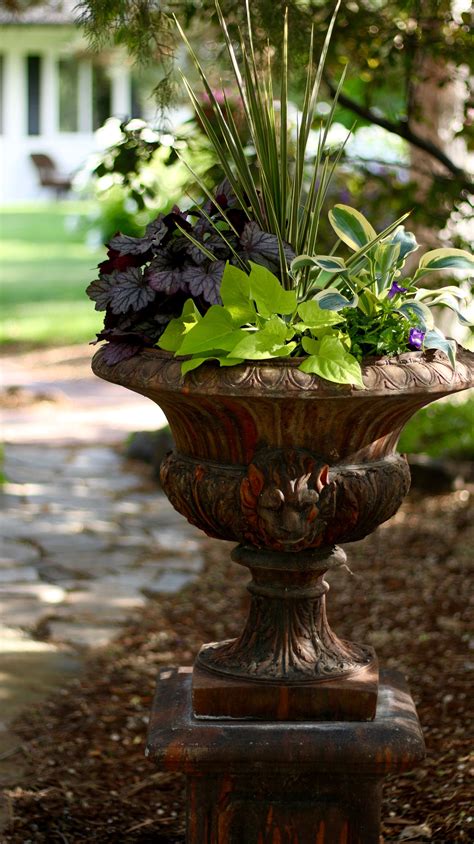 Tall Plants For Shade Containers Home Design Ideas
