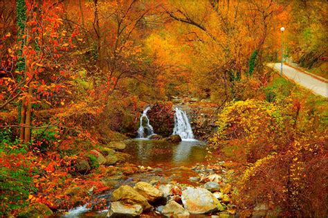 Colorful Earth Fall Foliage Forest Waterfall Wallpaper 2941x1956