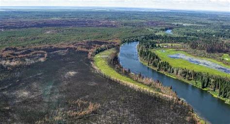 Albertas Boreal Forest Could Be Dramatically Altered By 2100 Due To