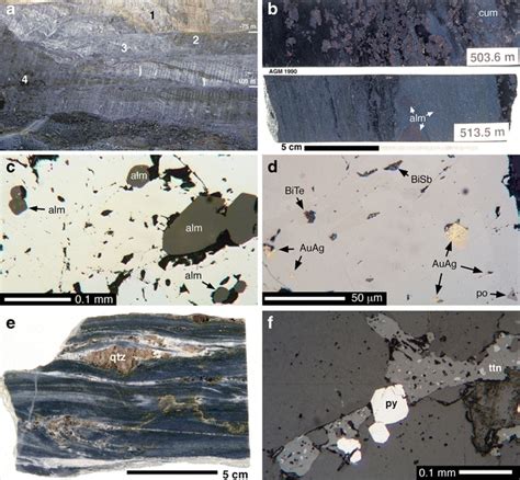 Photographs Of Calcic Potassic Metasomatic Gneiss Reduced Gold Skarn