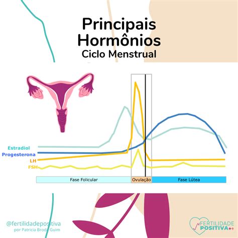 Principais Horm Nios Do Ciclo Menstrual Fertilidade Positiva
