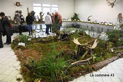Saint-André-en-Vivarais : une exposition mycologique en plein air les ...