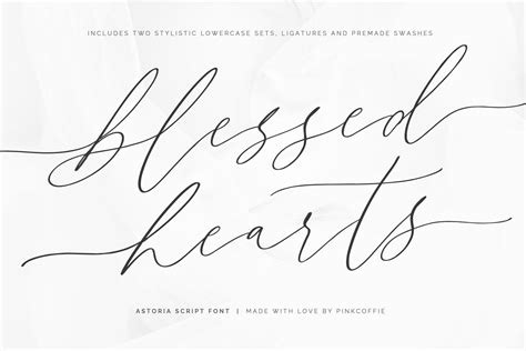 Astoria Modern Calligraphy Script Font Birdesign