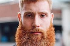 beards barba bearded mustache roja barbas facial ruiva homem