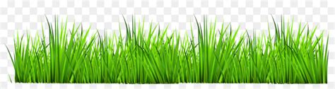 Download High Quality Grass Clipart Lawn Transparent Png Images Art