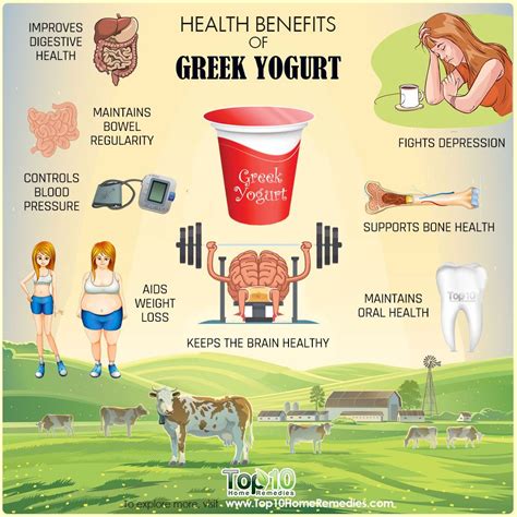 Elephant populations in west africa are distributed in small patches of highly fragmented habitat; 10 Health Benefits of Greek Yogurt | Top 10 Home Remedies