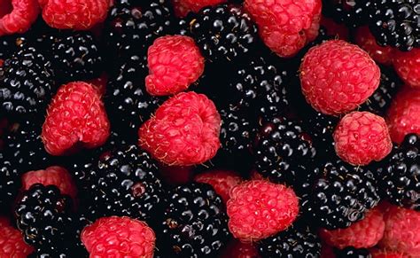 Berries Red And Black Strawberry Fruits Food And Drink Berries Hd