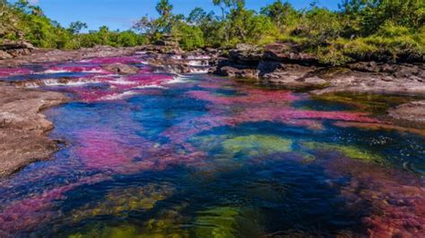 Caño Cristales El Río De 7 Colores Un Paraíso Natural