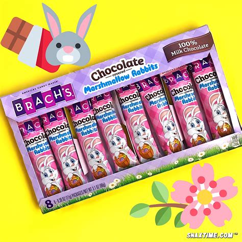 Brachs Chocolate Covered Marshmallow Rabbits Bunny Shaped Lawn Treat