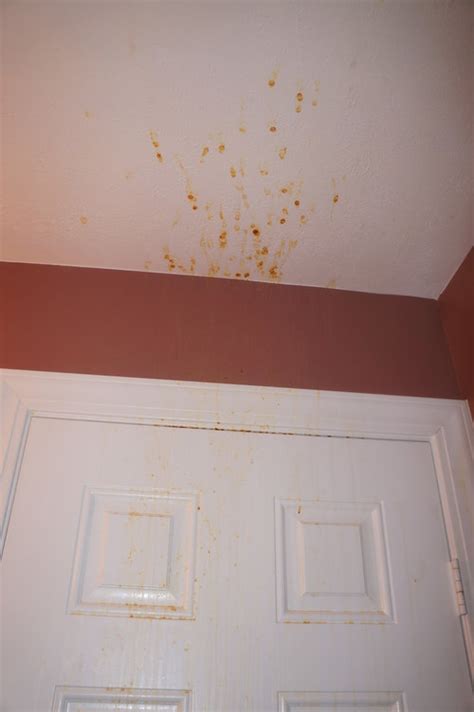 How Do I Get Brown Stains Off My Bathroom Ceiling