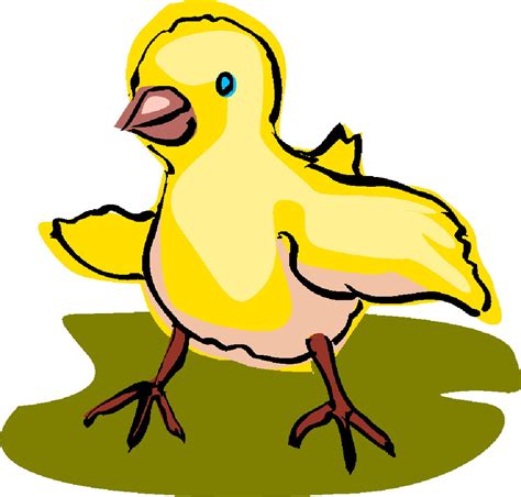 Animated Baby Chickens Clipart Best