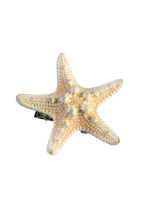 Mermaid Accessory Starfish Hairclip