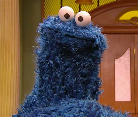 Cookie Monster Through The Years Muppet Wiki